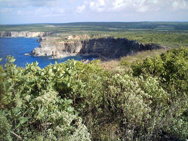 22c - Pointe de la  Grande Vigie 010.jpg